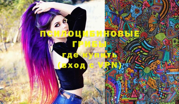 Альфа ПВП Алексин