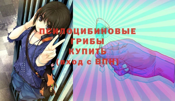 Альфа ПВП Алексин