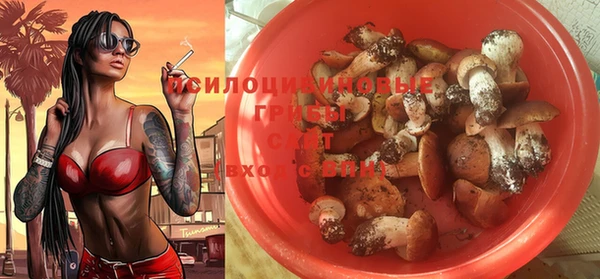 эйфоретик Гатчина