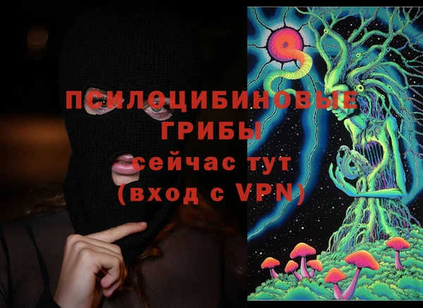 Альфа ПВП Алексин