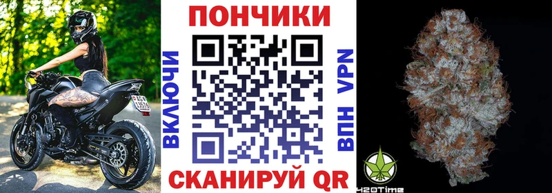 что такое   Ветлуга  Бошки Шишки ГИДРОПОН 